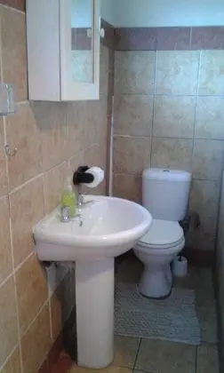 Basic Stüdyo