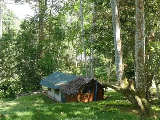 Comfort Çadır, 1 Yatak Odası, Sigara İçilmez, Bahçe Manzaralı