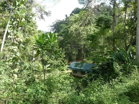 Comfort Çadır, 1 Yatak Odası, Sigara İçilmez, Bahçe Manzaralı