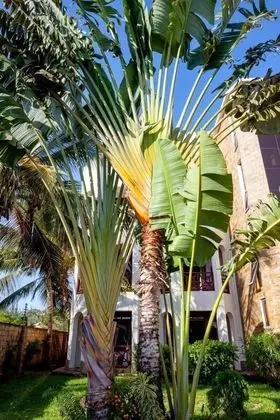 Luxury Apart Daire, 2 Yatak Odası