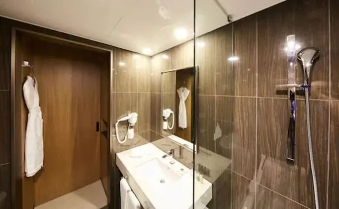 Standard Tek Büyük Yataklı Oda, 1 Çift Kişilik Yatak