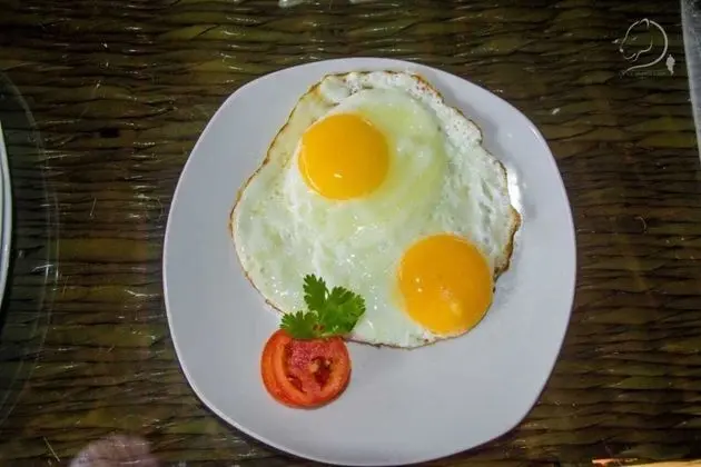 Kulübe, 1 Büyük (Queen) Boy Yatak ve Çekyat