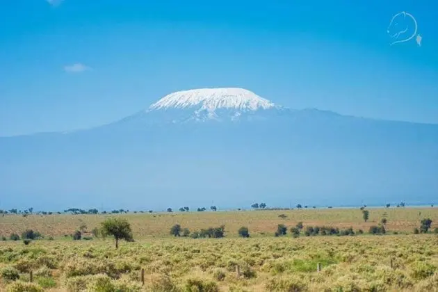 Kulübe, 1 Büyük (Queen) Boy Yatak ve Çekyat