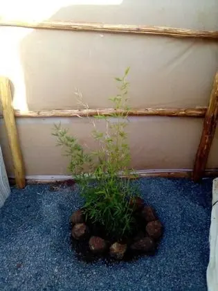 Kulübe, 1 Büyük (Queen) Boy Yatak ve Çekyat