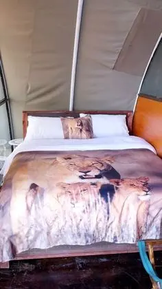 Kulübe, 2 Büyük (Queen) Boy Yatak