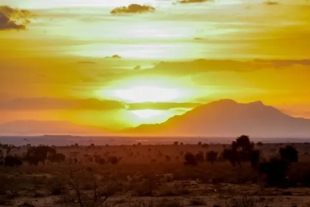 Kulübe, 2 Büyük (Queen) Boy Yatak