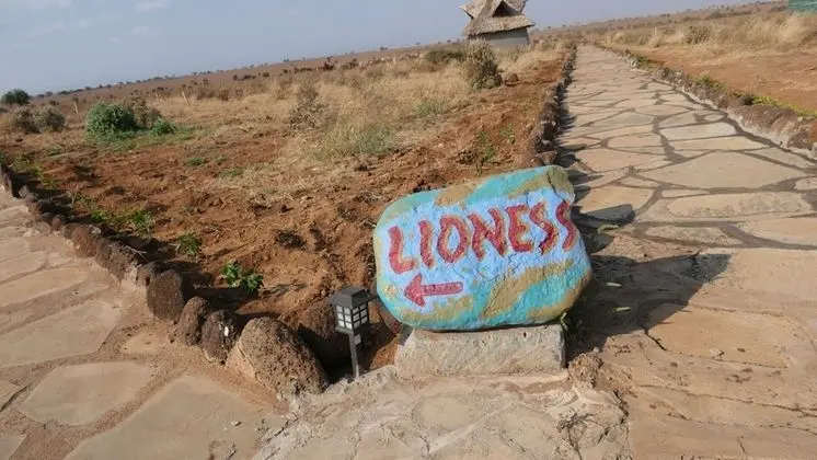 Kulübe, 2 Büyük (Queen) Boy Yatak