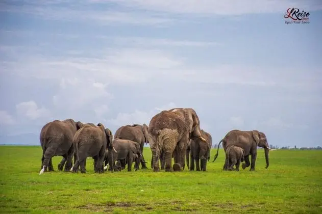 Kulübe, 2 Tek Kişilik Yatak