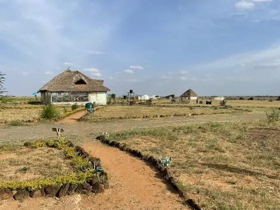 Kulübe, 2 Tek Kişilik Yatak