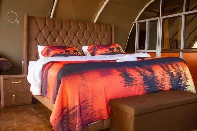 Kulübe, 1 En Büyük (King) Boy Yatak ve Çekyat