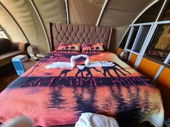 Kulübe, 1 En Büyük (King) Boy Yatak ve Çekyat