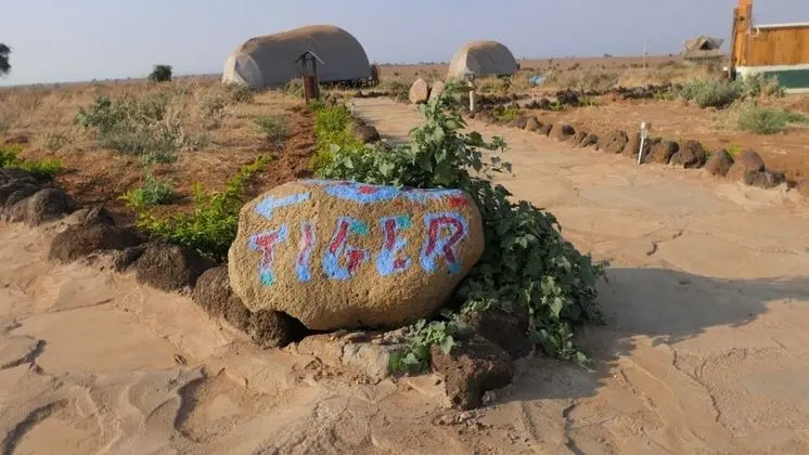 Kulübe, 1 Büyük (Queen) Boy Yatak