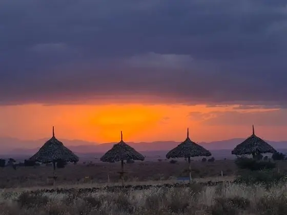 Kulübe, 1 Büyük (Queen) Boy Yatak