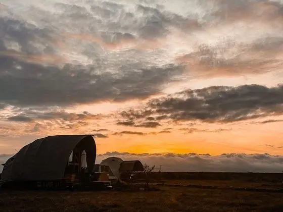 Kulübe, 1 Büyük (Queen) Boy Yatak