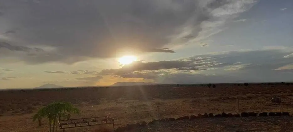 Kulübe, 1 En Büyük (King) Boy Yatak