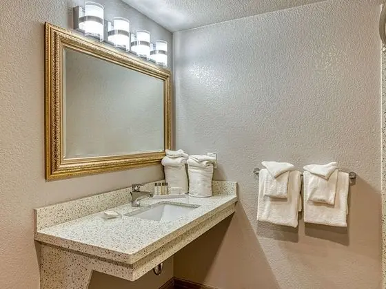 Standard Oda, 1 En Büyük (King) Boy Yatak, Engellilere Uygun, Sigara İçilmez (Accessible Tub)