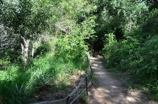 Oda, 1 Yatak Odası, Buzdolabı