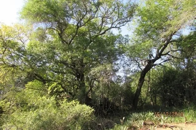 Oda, 1 Yatak Odası, Buzdolabı