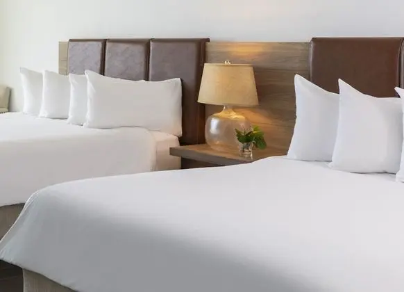 Alligator Reef Oceanfront Room Two Queen beds