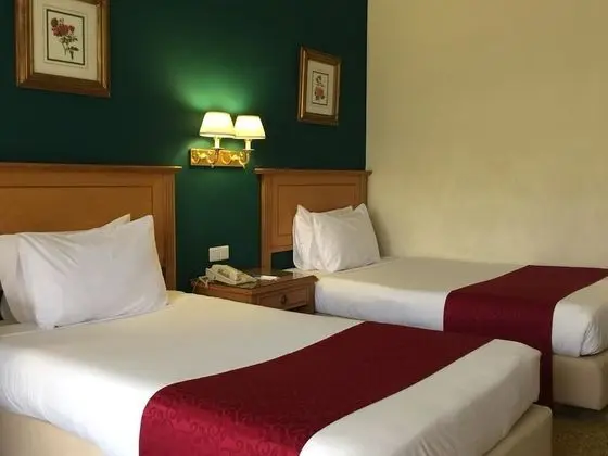 Tek Büyük Yataklı Oda (Special offer for Egyptians only)