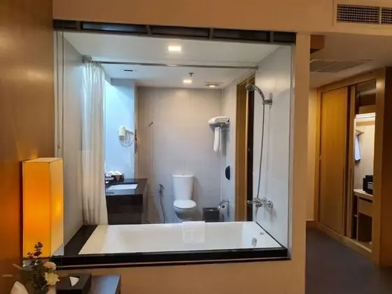 Deluxe Tek Büyük veya İki Ayrı Yataklı Oda