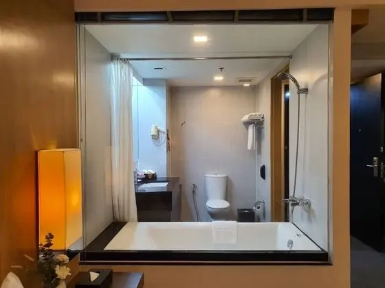 Deluxe Tek Büyük veya İki Ayrı Yataklı Oda