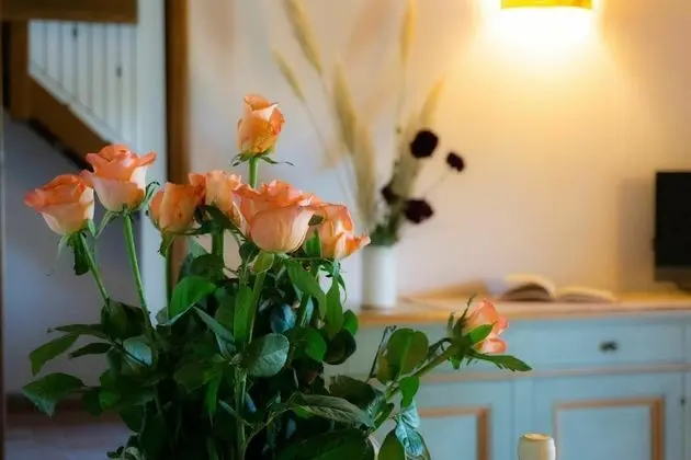 Villa, Sigara İçilebilir