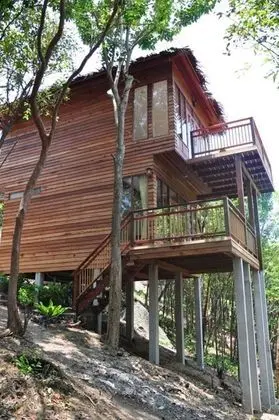 Oda, Bahçe Manzaralı