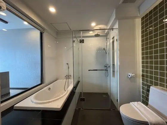 Deluxe Oda, 1 En Büyük (King) Boy Yatak, Şehir Manzaralı