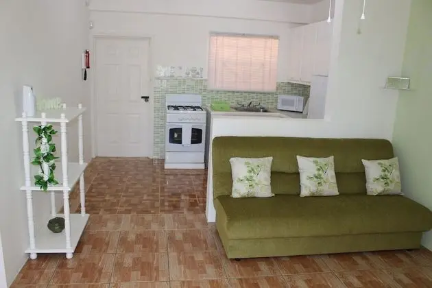 Standard Apart Daire, 2 Yatak Odası, Okyanus Manzaralı