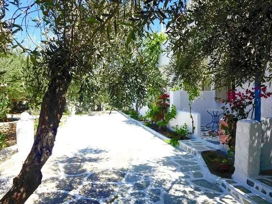 Standard Bungalov