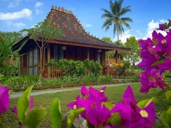 Deluxe Bungalov, 1 Yatak Odası