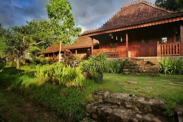 Deluxe Bungalov, 1 Yatak Odası