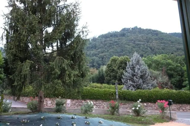 Panoramic Tek Büyük Yataklı Oda, 1 Büyük (Queen) Boy Yatak, Sigara İçilmez