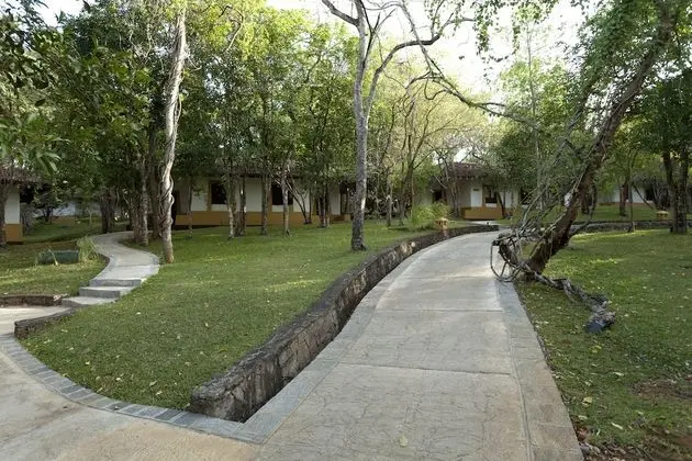 Standard Villa