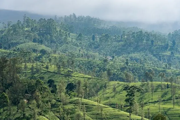 Premium Tek Büyük Yataklı Oda