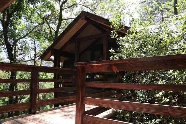 Superior Bungalov