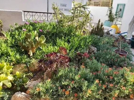 Apart Daire, Birden Çok Yatak