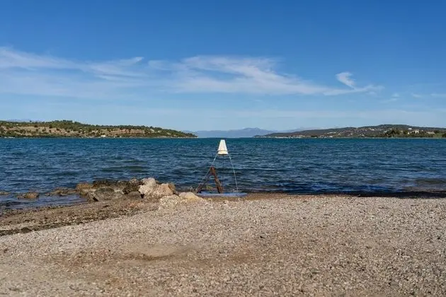 Apart Daire, Birden Çok Yatak