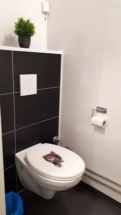 Standard Tek Büyük Yataklı Oda, Ortak Banyo (Nr 01)
