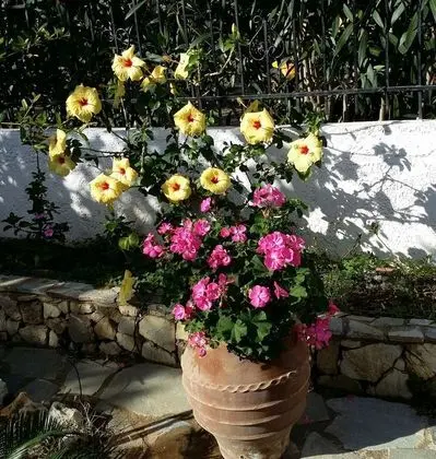 Ev, 1 Yatak Odası, Balkon