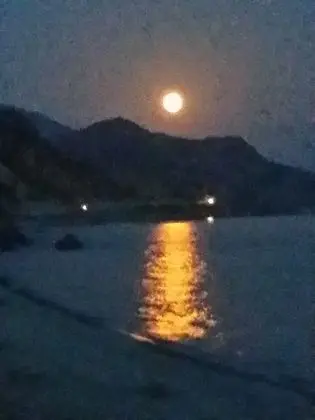 Ev, 1 Yatak Odası, Balkon