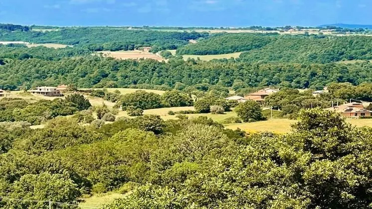 Villa, Birden Çok Yatak Odası, Balkon