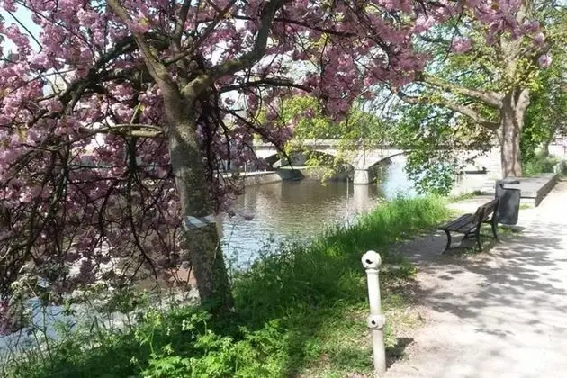 Apart Daire, 1 Büyük (Queen) Boy Yatak