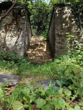 Apart Daire, 1 Büyük (Queen) Boy Yatak