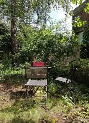 Apart Daire, 1 Büyük (Queen) Boy Yatak