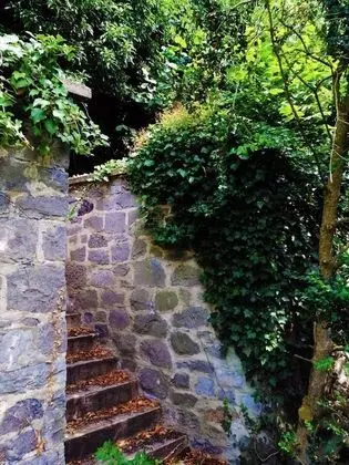 Apart Daire, 1 Büyük (Queen) Boy Yatak