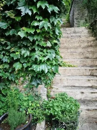 Apart Daire, 1 Büyük (Queen) Boy Yatak