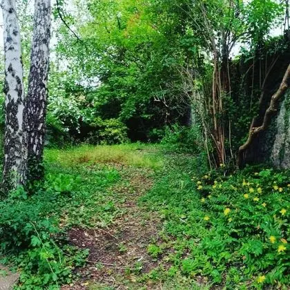 Apart Daire, 1 Büyük (Queen) Boy Yatak