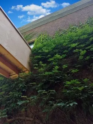 Apart Daire, 1 Büyük (Queen) Boy Yatak